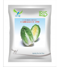 Iris F1 Chinese Cabbage CC 1550 - 10 grams